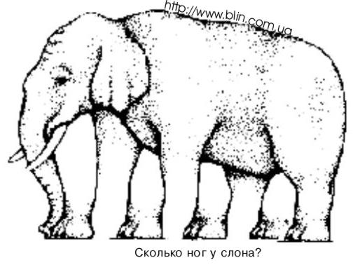 слон.jpg